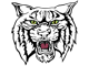 Riceville Wildcats