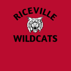 Riceville Wildcats - Black  - Youth PosiCharge ® Classic Mesh Short Design